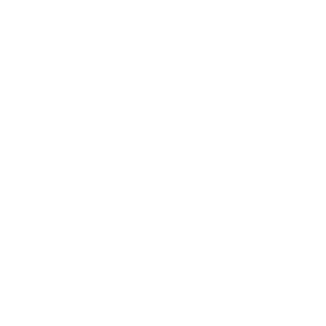 Roasted Daliya
