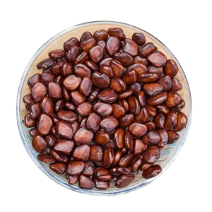 Tamarind Seed